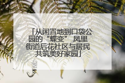 从闲置地到口袋公园的“蝶变” 凤里街道后花社区与居民共筑美好家园