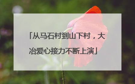 从马石村到山下村，大冶爱心接力不断上演