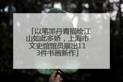 以笔墨丹青描绘江山如此多娇，上海市文史馆馆员展出113件书画新作