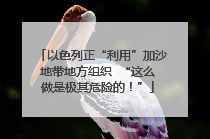 以色列正“利用”加沙地带地方组织  “这么做是极其危险的！”