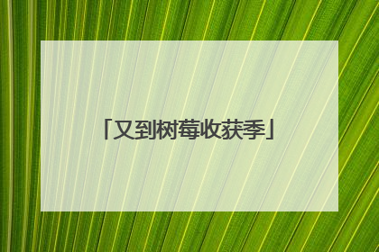 又到树莓收获季