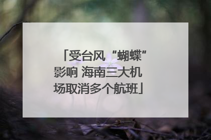受台风“蝴蝶”影响 海南三大机场取消多个航班
