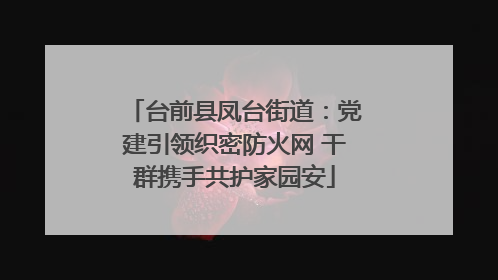 台前县凤台街道：党建引领织密防火网 干群携手共护家园安