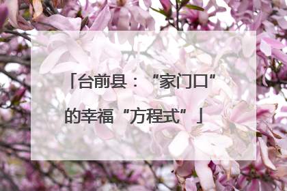 台前县：“家门口”的幸福“方程式”