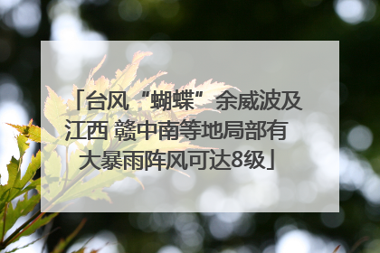 台风“蝴蝶”余威波及江西 赣中南等地局部有大暴雨阵风可达8级