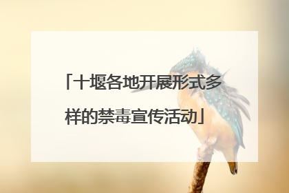 十堰各地开展形式多样的禁毒宣传活动