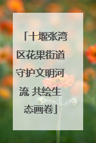 十堰张湾区花果街道守护文明河流 共绘生态画卷