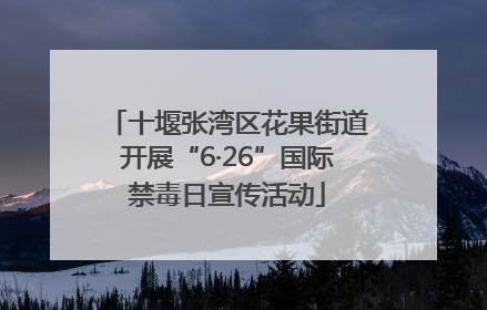 十堰张湾区花果街道开展“6·26”国际禁毒日宣传活动