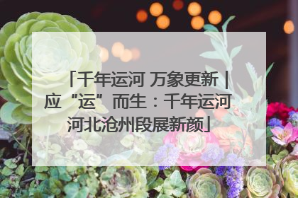 千年运河 万象更新｜应“运”而生：千年运河河北沧州段展新颜