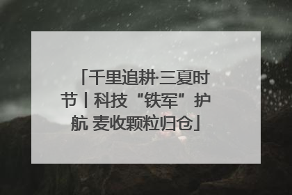 千里追耕·三夏时节丨科技“铁军”护航 麦收颗粒归仓