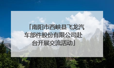 南阳市西峡县飞龙汽车部件股份有限公司赴台开展交流活动