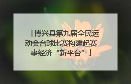 博兴县第九届全民运动会台球比赛构建起赛事经济“新平台”