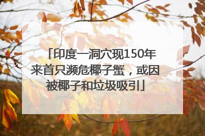 印度一洞穴现150年来首只濒危椰子蟹，或因被椰子和垃圾吸引