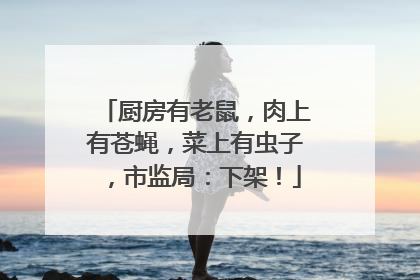 厨房有老鼠，肉上有苍蝇，菜上有虫子，市监局：下架！