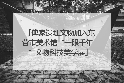 傅家遗址文物加入东营市美术馆“一眼千年”文物科技美学展