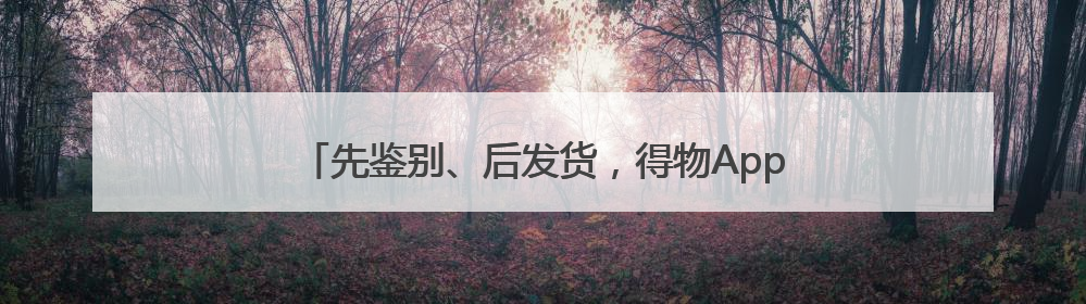 先鉴别、后发货，得物App创新模式推动消费正品化升级