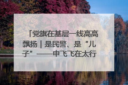 党旗在基层一线高高飘扬｜是民警、是“儿子”——申飞飞在太行山中的一线坚守