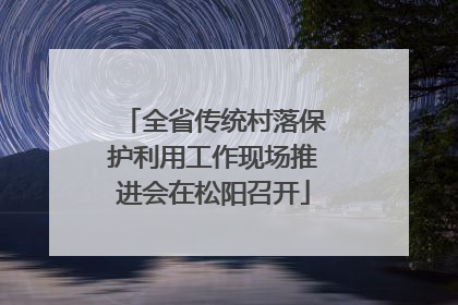 全省传统村落保护利用工作现场推进会在松阳召开