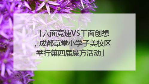 六面竞速VS千面创想，成都草堂小学子美校区举行第四届魔方活动
