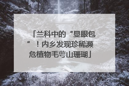 兰科中的“显眼包”！内乡发现珍稀濒危植物毛萼山珊瑚