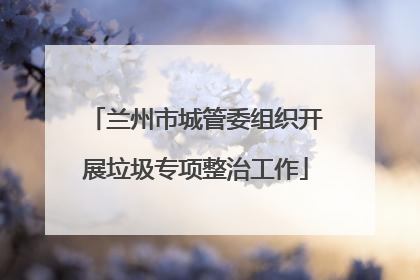 兰州市城管委组织开展垃圾专项整治工作