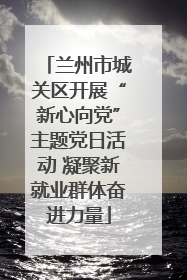 兰州市城关区开展“新心向党”主题党日活动 凝聚新就业群体奋进力量