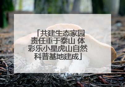 共建生态家园 责任重于泰山 体彩乐小星虎山自然科普基地建成