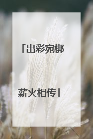 出彩宛梆 薪火相传