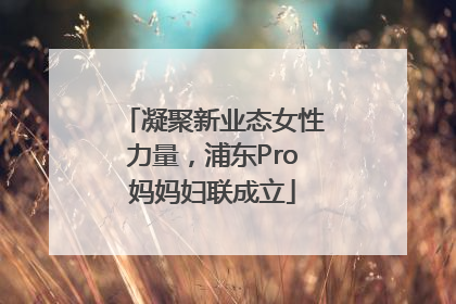 凝聚新业态女性力量，浦东Pro妈妈妇联成立