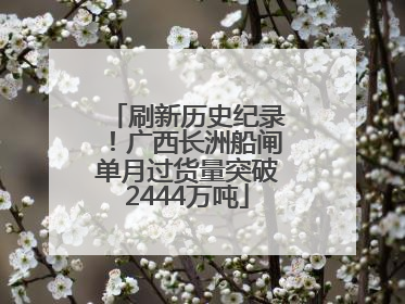 刷新历史纪录！广西长洲船闸单月过货量突破2444万吨