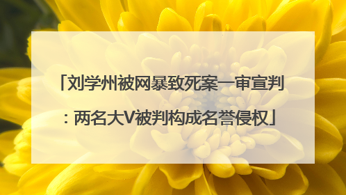 刘学州被网暴致死案一审宣判：两名大V被判构成名誉侵权