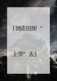 到麦田里“上学”去