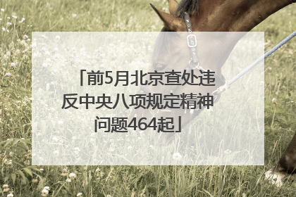 前5月北京查处违反中央八项规定精神问题464起