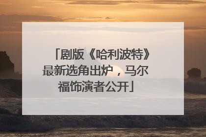 剧版《哈利波特》最新选角出炉，马尔福饰演者公开