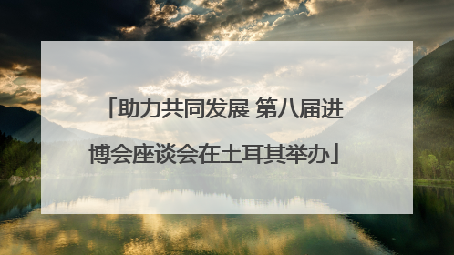 助力共同发展 第八届进博会座谈会在土耳其举办