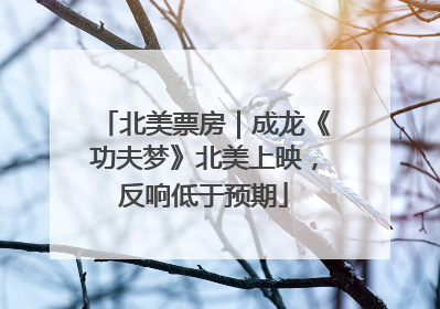 北美票房｜成龙《功夫梦》北美上映，反响低于预期