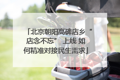 北京朝阳高碑店乡“店念不忘” 上线 如何精准对接民生需求