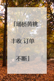 埇桥黄桃丰收 订单不断
