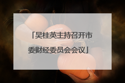 吴桂英主持召开市委财经委员会会议