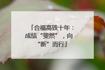 合福高铁十年：成绩“斐然”，向“新”而行
