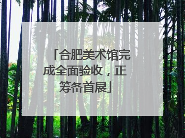 合肥美术馆完成全面验收，正筹备首展