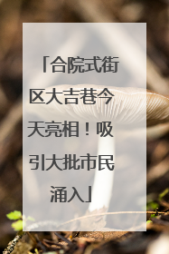 合院式街区大吉巷今天亮相！吸引大批市民涌入