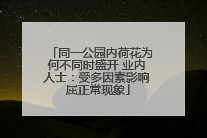 同一公园内荷花为何不同时盛开 业内人士：受多因素影响 属正常现象