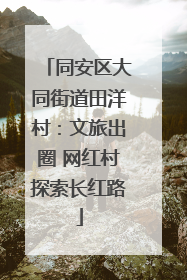 同安区大同街道田洋村：文旅出圈 网红村探索长红路
