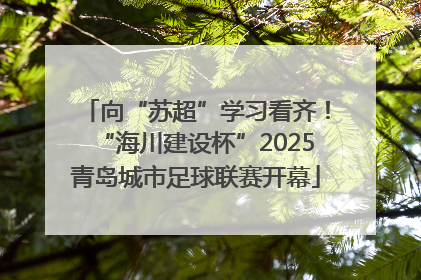 向“苏超”学习看齐！“海川建设杯”2025青岛城市足球联赛开幕