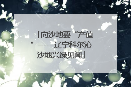 向沙地要“产值”——辽宁科尔沁沙地兴绿见闻
