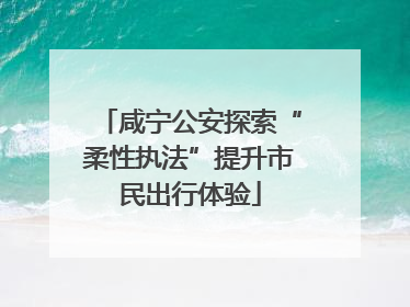 咸宁公安探索“柔性执法”提升市民出行体验