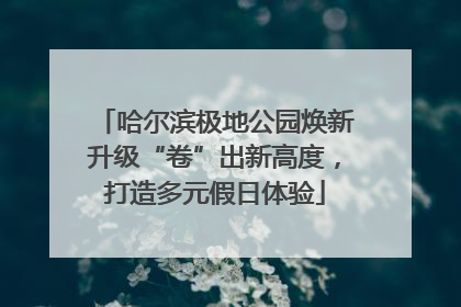 哈尔滨极地公园焕新升级“卷”出新高度，打造多元假日体验