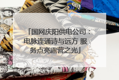 国网庆阳供电公司：电脉连通诗与远方 服务点亮露营之光
