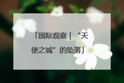 国际观察｜“天使之城”的坠落